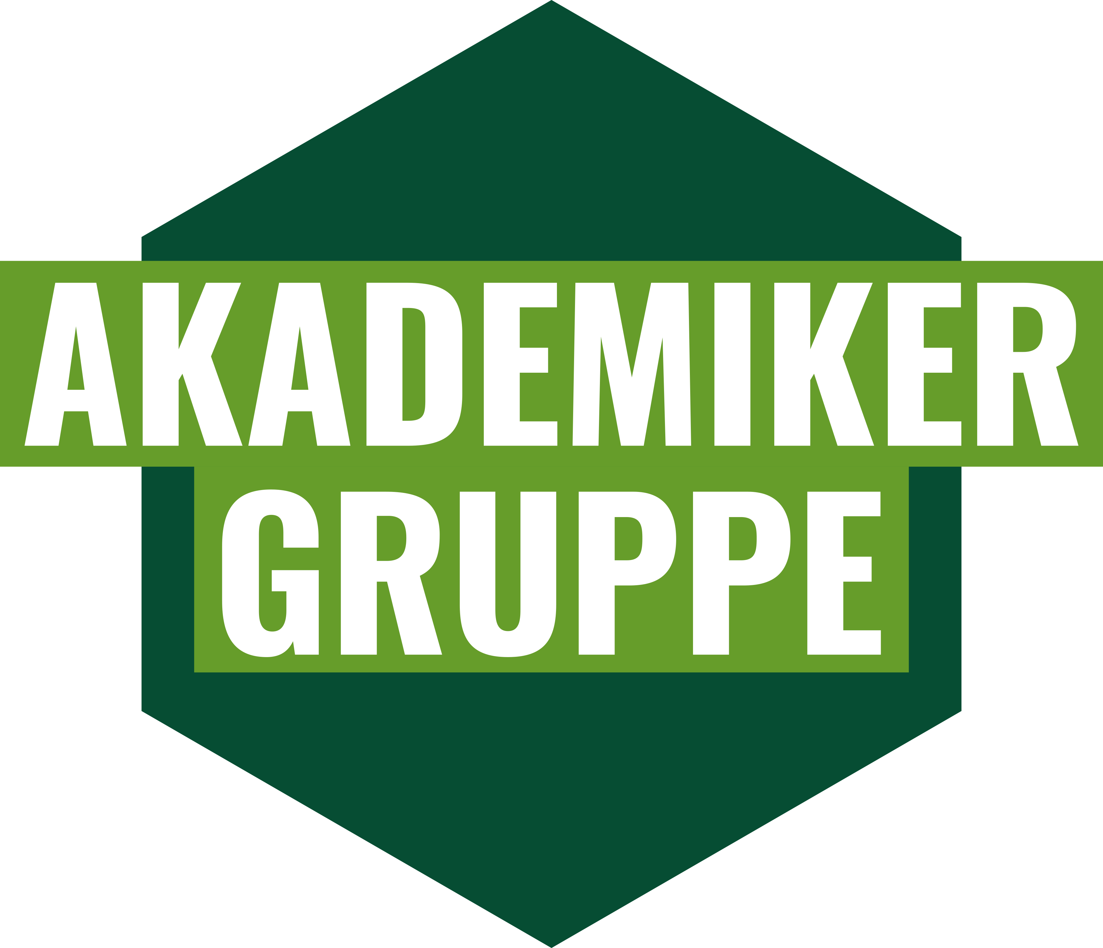 akademikdergruppe_logo_4c.png